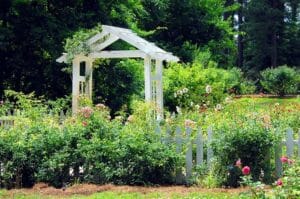 Gardening in Louisiana: Landscape Design Ideas