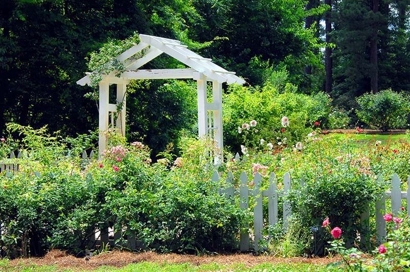 Gardening in Louisiana: Landscape Design Ideas