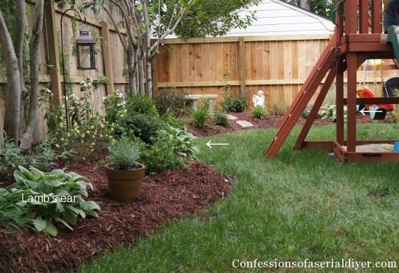 How to Landscape Your Yard