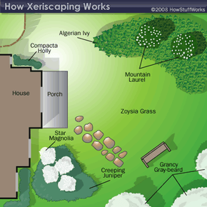 Principles of Xeriscaping
