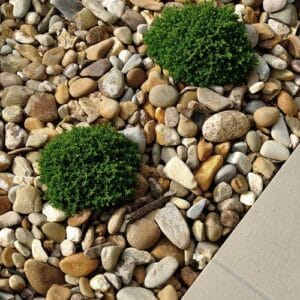 Where to Buy Rocks for Landscaping