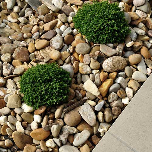 Where to Buy Rocks for Landscaping